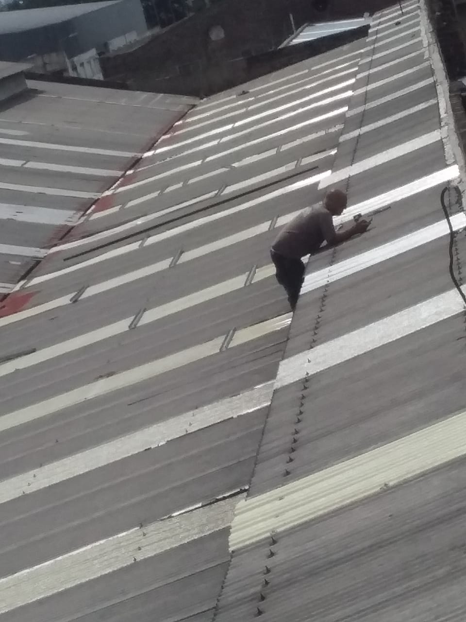 laimagen muestra un techo de tinglado